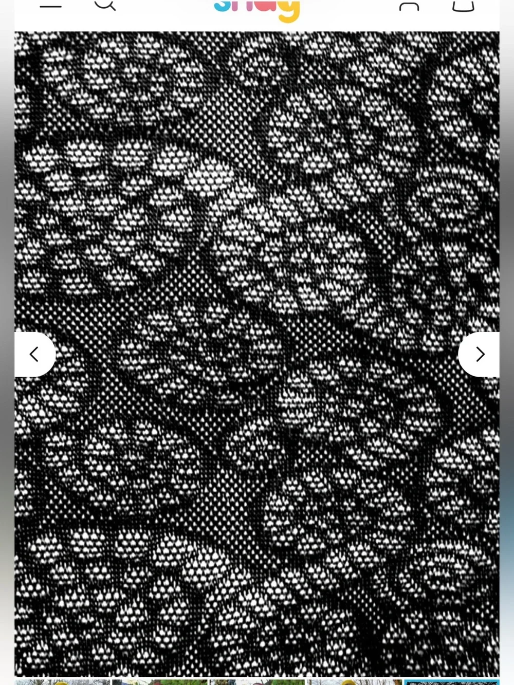Ammonite Tights Size F